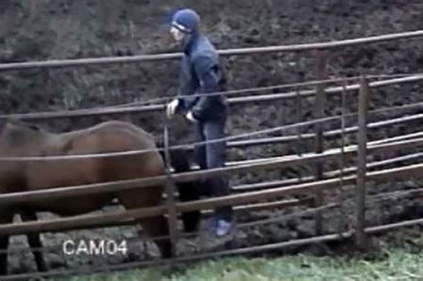 woman fucks animal|Women fucked by animals